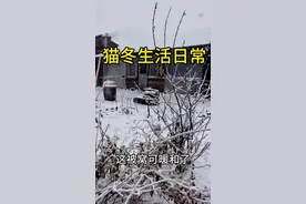 东北冬天那么冷，农村还要去室外厕所呢#东北猫冬生活
