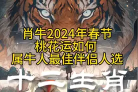 肖牛2024年春节桃花运如何 属牛人最佳伴侣人选#2024生肖牛#桃花