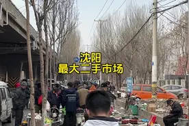 南二环桥下，沈阳最大的二手市场#沈阳 #二手市场视频封面