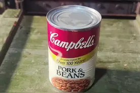 末日废土物资之猪肉豆罐头 #罐头 #生存狂 #双11在抖音商城买什么