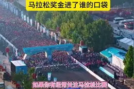 马拉松比赛奖金进了谁的口袋#跑步 #大连马拉松