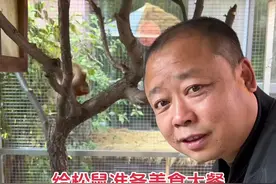 松鼠吃12道菜是什么体验 今天给它们准备丰盛美食 都是他们最爱#松鼠 #松鼠养殖场 #记录真实生活 #小松鼠 #随拍 @双姐的小院视频封面