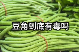 豆角到底有没有毒？｜豇豆无毒，四季豆油豆角有毒 #科普 #豆角
