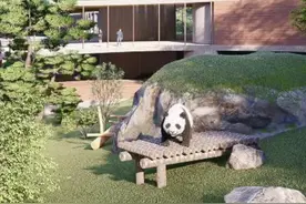 【记者探访｜#北京大熊猫科研繁育基地开工了 ！】12月19日，位于房山区青龙湖镇的北京大熊猫科研繁育基地项目开工。该项目规划用地面积约2000亩，建成后将成为集大熊猫繁育、科学研究、科普教育等功能于一身的珍稀濒危野生动物保护示范基地，面向公众开放。北京日报客户端记者上午在现场看到，通往开工仪式举办场地的甬路两侧，数十面道旗上都画有可爱的熊猫图案。施工平面图、展示效果图、内容分布示意图、项目定位等展板整齐摆放在场地内。随着挖掘机、推土机发出阵阵轰鸣，北京大熊猫科研繁育基地项目正式开工。视频封面