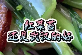 冬天还是红菜苔最下饭！ #食材 #红菜苔#下饭菜 @文刚疯行视频封面