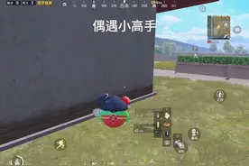 #和平精英 #9000淘汰分 #极限操作 #吃鸡教学 努力变强