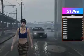 xi pro 辅助功能讲解需要的来 #xipro #steam游戏 #给他爱