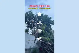 超强台风“康妮”来袭，威力强悍，大家减少出门做好防范工作 #台风康妮 #直击台风康妮路径视频封面