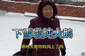 下雪了铁锅炖大鹅 #农村美食 #东北猫冬生活 #2024新农人计划 #农村生活 下雪了铁锅炖大鹅视频封面