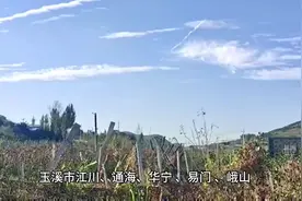 玉溪市江川,通海,华宁,易门,峨山,新平,元江,澄江乡镇合并建议