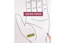 金星丘的位置出现多条这样的横线，这叫暗财纹#掌纹的秘密 #掌纹