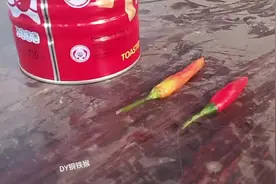 竟国外验证猴子还是爱吃辣椒的。#猴子 #萌猴 #神奇动物在抖音视频封面