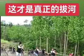 原来拔河比赛是这么来的，这才是真正意义上的拔河#拔河比赛 #农村欢乐多 #团结一心 #专治不开心