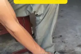 小公猪敲猪位置教学 #劁猪 #畜牧兽医