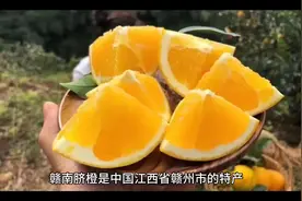 吃赣南脐橙的好处#赣南脐橙