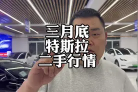 特斯拉二手车，3月份行情避坑指南 #特斯拉modelY #特斯拉model3