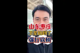 山东枣庄，卫星拍到了，强砍杨树#退林还耕 #退林还田 #高标准农田建设 #北京律师 #违章建筑视频封面