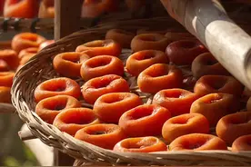 柿饼的营养比柿子还好呢！每100克柿子中含钙9毫克，而柿饼中有54毫克；柿子铁含量9毫克，而柿饼为21毫克。柿饼的保健功能也更强，其表面白霜可以治疗咽喉干痛、口舌生疮、肺热等病症。#三农小知识 #柿子