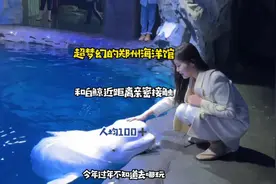 郑州海洋馆现在也太梦幻了~快来这里和海豚白鲸来一个亲亲拥抱吧~