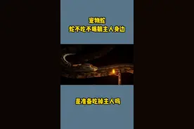 #宠物蛇#动物科普