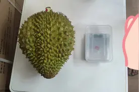 一个8斤的榴莲，能开出多少肉，亲测，看看这么买划算#辛弃疾