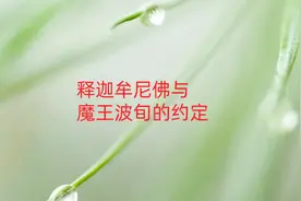 佛主涅槃的原因，莲花生大士预言。#佛#认知 #觉醒开悟 #因果