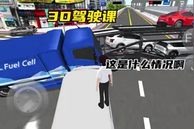#233乐园 #3D驾驶课 #模拟游戏 这是什么情况啊