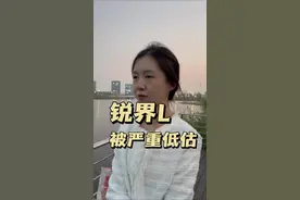 锐界L,被严重低估#小酸奶说车