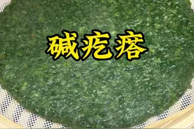马齿苋，我们那叫妈妈菜！做菜疙瘩最好吃了！#抖音美食推荐官 #美食教程 #爱做饭的男人 #妈呀太香了 #碱疙瘩
