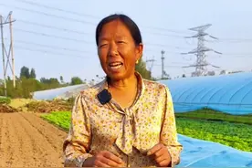 小供棚怎么搭 怎么给蔬菜搭棚#玻璃纤维杆 #小拱棚搭建方法 #拱棚支架 #生菜杨姐 #家庭菜园 @DOU+小助手