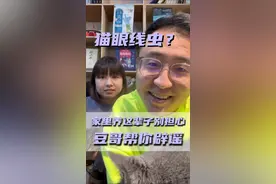 猫眼线虫，家里养这辈子别担心，豆哥帮你辟谣#新手养猫 #养猫人 #养猫新手视频封面