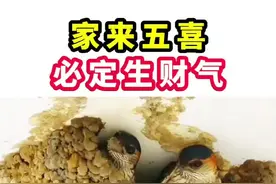 #生活常识 #内容启发搜索 #每天学习一点点 #关注我每天坚持分享知识 #生活小常识视频封面