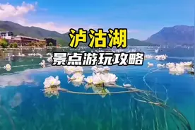 #云南旅游景点推荐#泸沽湖#云南旅游攻略#云南旅游包车视频封面