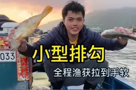 来看看今天小李家出海全过程吧 只花了1000本金 渔获拉到手软 #海钓 #船钓 #石斑鱼 #排钩 #渔民日常视频封面