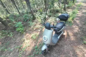 900块搞台小牛M+ 遛村用 油车太费钱 搞台二手小电驴带个步视频封面