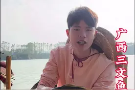 江里捕获“黄肉鲤鱼”做鱼生，一种号称广西版的三文鱼，鱼肉金黄金黄的，它的口感一个字鲜、甜、脆！鱼生的几种切法你更钟爱哪一款！#鱼生 #美食 #新农人计划2024 #黄肉鲤鱼 #我的乡村生活视频封面