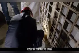 故宫最怕的就是修缮#故宫 #养心殿#纪录片 #传统文化 #涨知识视频封面