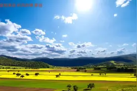 #抖音創作者中心 见解独到 幽默风趣的#军事主播老婵深度分析视频封面