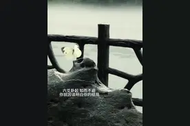 六爻卦起 知而不避 你就应该明白你的结局.视频封面