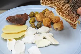 膨鱼鳃煲汤好喝又有益，赶紧学起来 宝爸宝妈必备靓汤，膨鱼鳃石斛炖瘦肉，清热有营养，炖出来的汤还特别鲜甜，姐姐弟弟妹妹都爱喝#为你煲汤 #广东靓汤 #食疗小妙招