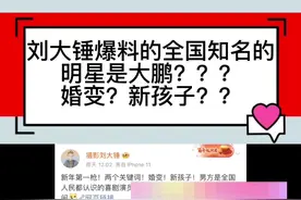 刘大锤拍到大鹏一家四口三亚散步，就判定人家大鹏婚变，有了新妻子新孩子#哈哈哈哈哈哈我要笑死了