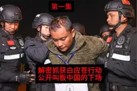 #抓获白应苍行动 公开叫板中国的下场第一集