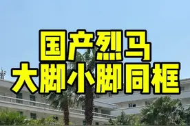 国产烈马大小脚终于同框了#国产烈马