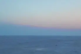 寒冬末日普通人该如何寻找食物？ #末日 #废土 #求生 #生存狂 #末日废土视频封面