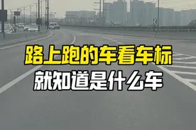 看车标你能认识多少种车#每天一个用车知识 #汽车知识