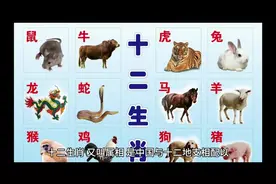 十二生肖的来历起源#十二生肖故事讲解 #传扬中华文化视频封面