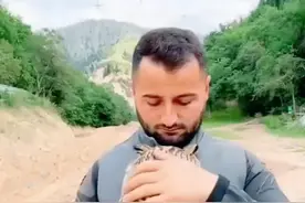 小猫头鹰被妈妈抛弃。男子救了它，没想到猫头鹰这样报恩 #命运逼我认了命 #神奇动物在抖音 #人与动物和谐共处 #万物皆有灵性 #萌宠出道计划