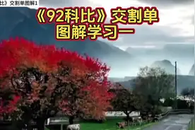 92科比交割单图解学习一 #股票 #股民 #财经视频封面