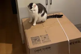 今天吃多了一点点有点撑，你要在家肯定会帮我揉肚子的。视频封面