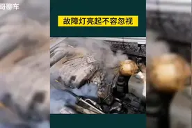 汽车仪表上这几个故障灯亮起时一定要停车检查，关键时候可以保命